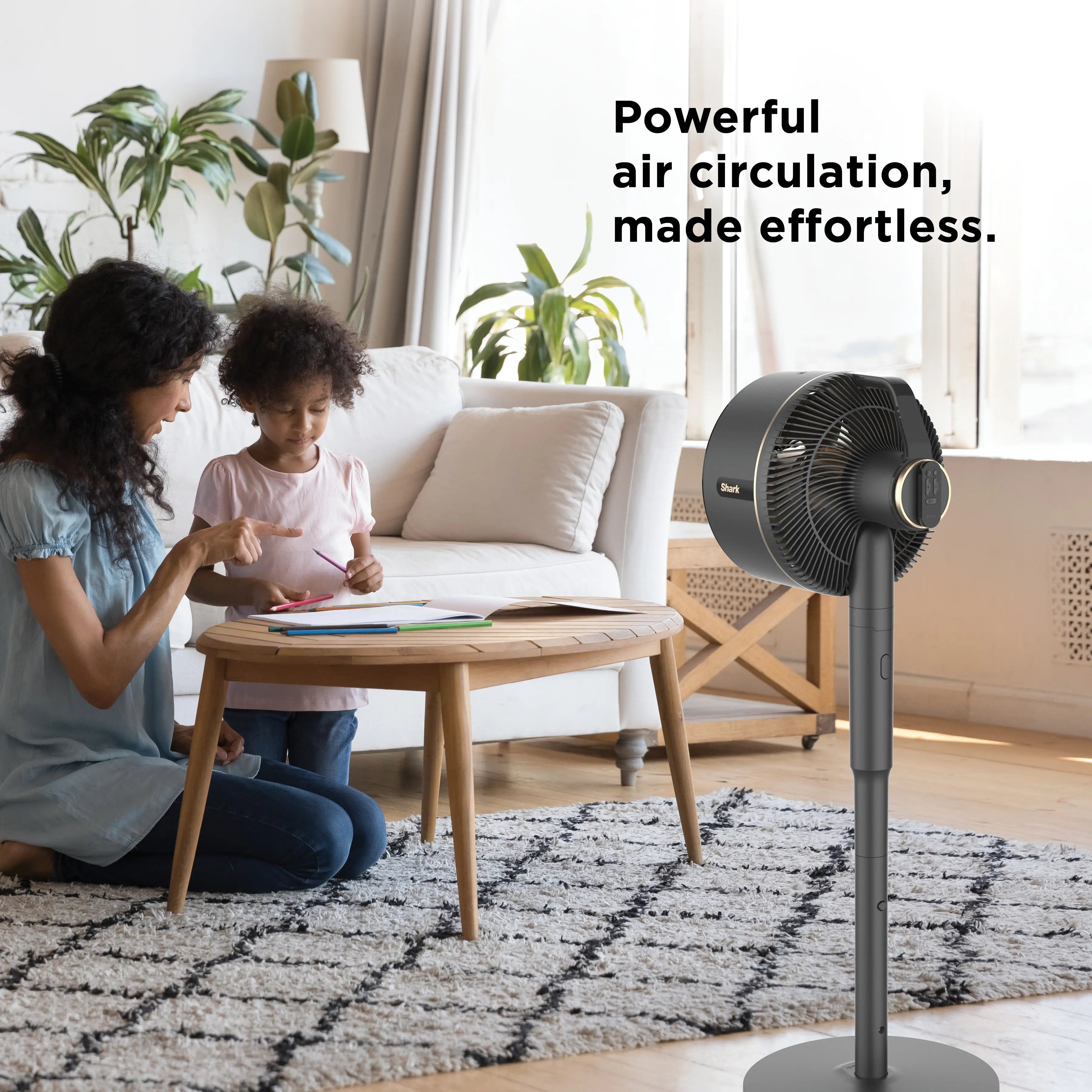 Portable Cooling Fan System