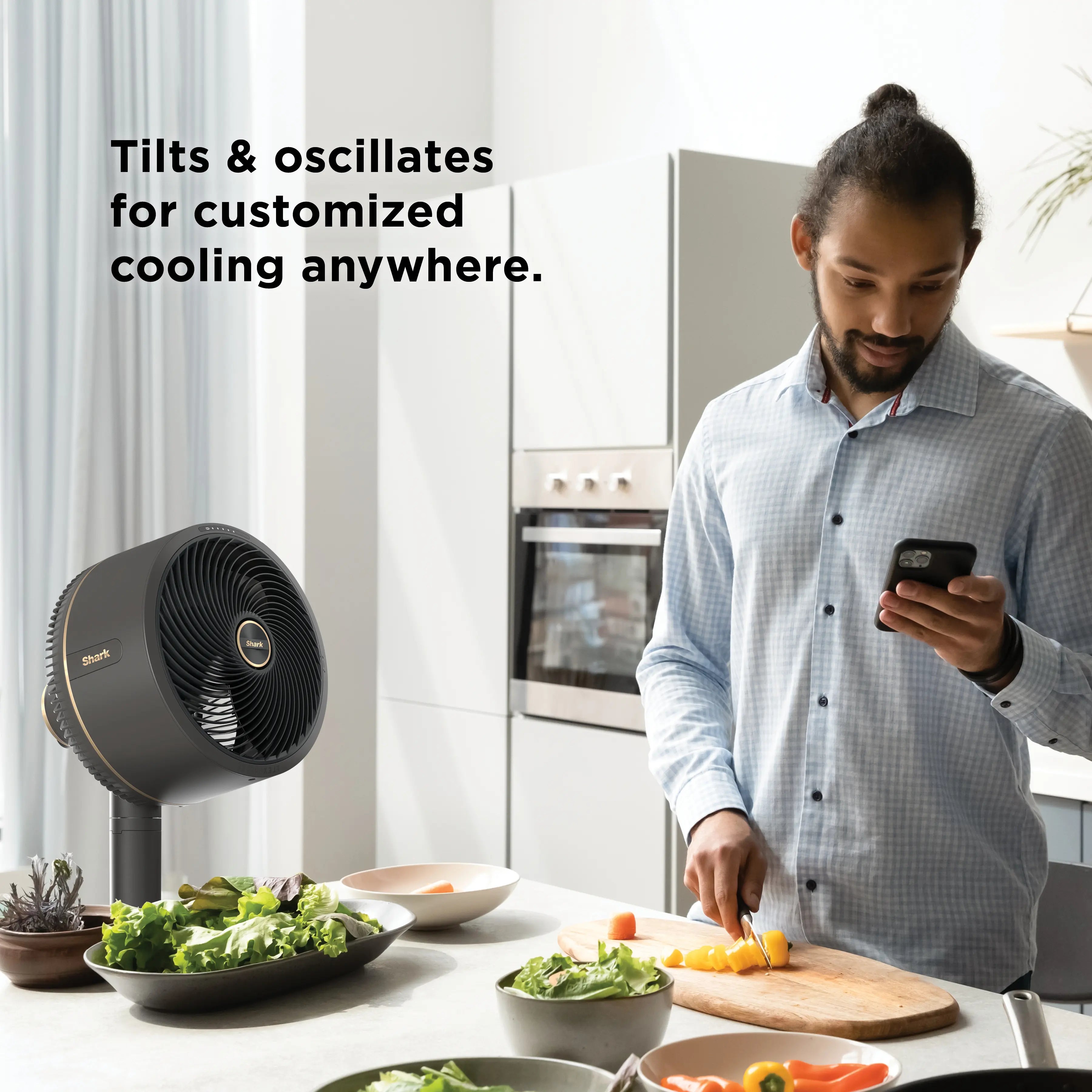 Portable Cooling Fan System